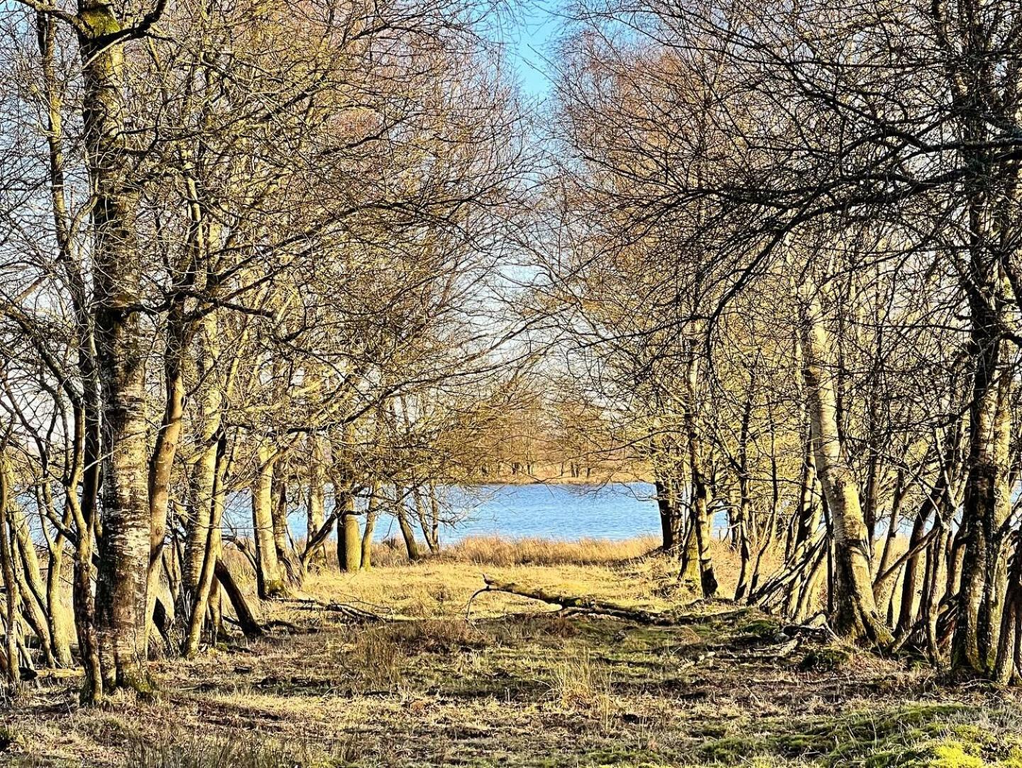 Natuurhuisje Meppen Exterior foto